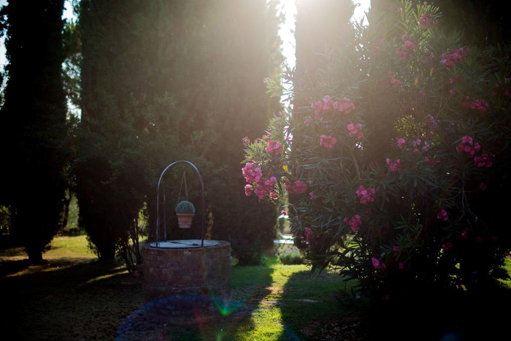 Agriturismo Palazzo Val Del Sasso Villa Villastrada  Exterior foto