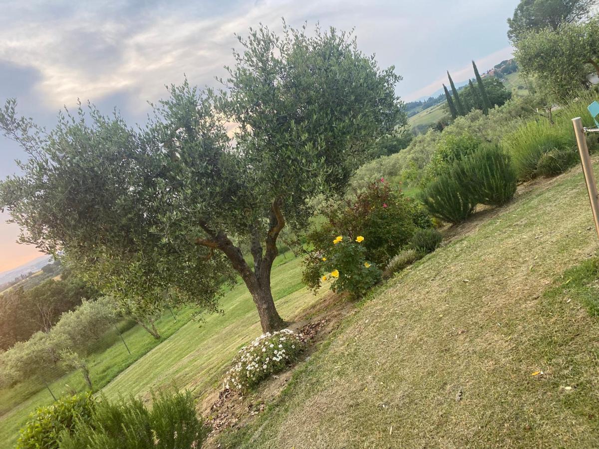 Agriturismo Palazzo Val Del Sasso Villastrada  Exterior foto